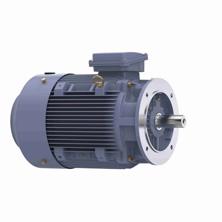 Marathon 22.0 Kw General Purpose Low Voltage Iec Motor, 3 Phase, 1800 Rpm R243